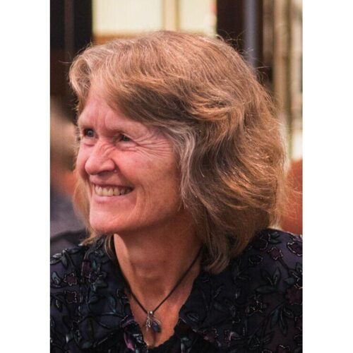 Janet E. Aalfs, poet laureate of Northampton, MA (2003-2005), and founder/director of Lotus Peace Arts at Heron's Bridge, a non-profit community school, is a poet, performer, educator, dancer, and master instructor of Karate, Filipino Stick Arts, and Taiji/ Qigong. Creator of Poemotion, spoken word woven with martial arts based dance, Janet has been a presenter at many events including Mass Poetry, the Dodge Poetry Festival, Split This Rock, and Guga S'Thebe in Cape Town, South Africa. Janet's third full-length poetry collection, What the Dead Want Me to Know, appeared in 2022. Her writing has been published widely.
